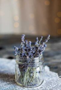 Take an Herbal Bath: Recommended Plants and Their Properties Image
